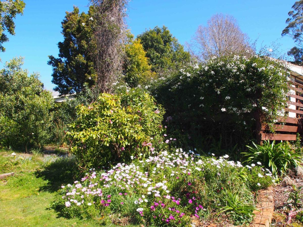 Cosy, Comfortable Cottage - Views & Location Plus Beauty Point Exterior foto